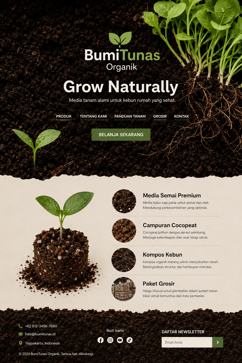 Pratinjau desain website Northstar Goods